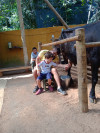 IMG_20240430_102859_1.jpg