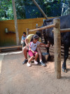 IMG_20240430_102927.jpg