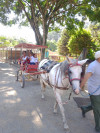 IMG_20240430_103802_1.jpg