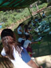 IMG_20240430_134338_1.jpg